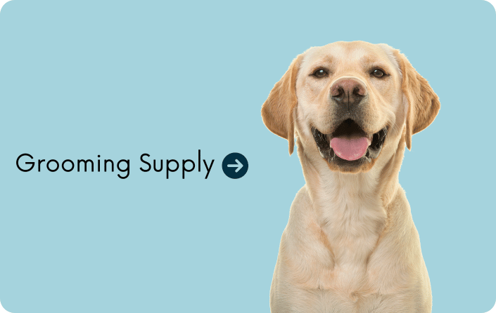 Dog grooming