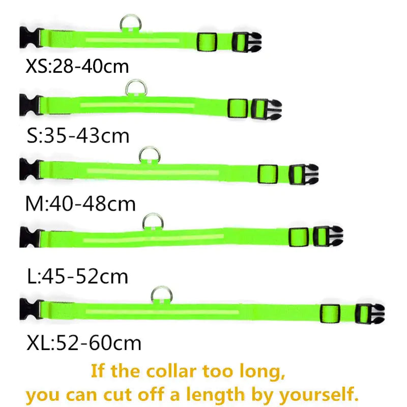 Discover enhanced safety and style with our LED Dog Collar. Engineered for nighttime visibility, its built-in LED lights ensure your furry friend stands out in low-light conditions. Shop now and illuminate your pet's path with Tidewater Trends. 🐾✨ #LEDdogcollar #PetSafety #NighttimeVisibility #DogAccessories #ShopNow