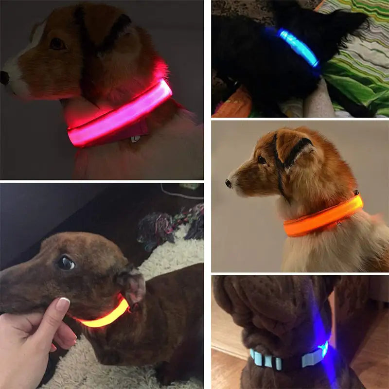 Discover enhanced safety and style with our LED Dog Collar. Engineered for nighttime visibility, its built-in LED lights ensure your furry friend stands out in low-light conditions. Shop now and illuminate your pet's path with Tidewater Trends. 🐾✨ #LEDdogcollar #PetSafety #NighttimeVisibility #DogAccessories #ShopNow