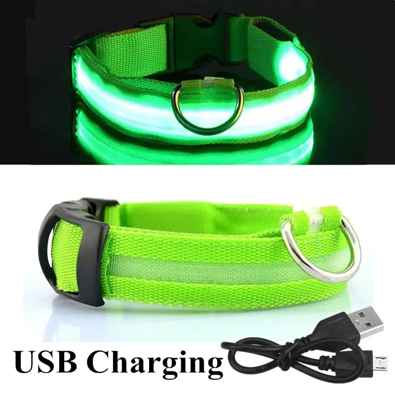 Discover enhanced safety and style with our LED Dog Collar. Engineered for nighttime visibility, its built-in LED lights ensure your furry friend stands out in low-light conditions. Shop now and illuminate your pet's path with Tidewater Trends. 🐾✨ #LEDdogcollar #PetSafety #NighttimeVisibility #DogAccessories #ShopNow
