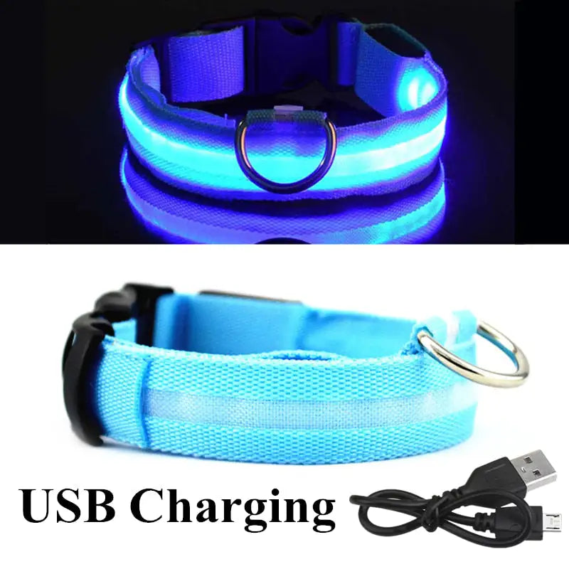 Discover enhanced safety and style with our LED Dog Collar. Engineered for nighttime visibility, its built-in LED lights ensure your furry friend stands out in low-light conditions. Shop now and illuminate your pet's path with Tidewater Trends. 🐾✨ #LEDdogcollar #PetSafety #NighttimeVisibility #DogAccessories #ShopNow