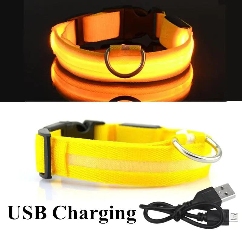 Discover enhanced safety and style with our LED Dog Collar. Engineered for nighttime visibility, its built-in LED lights ensure your furry friend stands out in low-light conditions. Shop now and illuminate your pet's path with Tidewater Trends. 🐾✨ #LEDdogcollar #PetSafety #NighttimeVisibility #DogAccessories #ShopNow