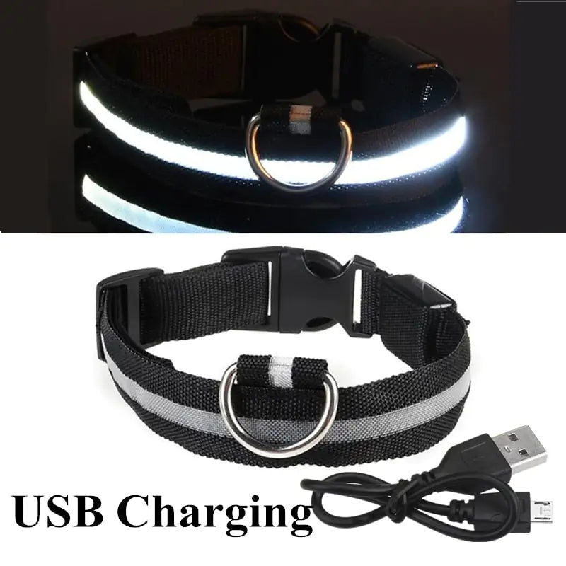 Discover enhanced safety and style with our LED Dog Collar. Engineered for nighttime visibility, its built-in LED lights ensure your furry friend stands out in low-light conditions. Shop now and illuminate your pet's path with Tidewater Trends. 🐾✨ #LEDdogcollar #PetSafety #NighttimeVisibility #DogAccessories #ShopNow